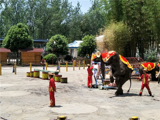 昆明民族村旅游攻略昆明民族村大象表演