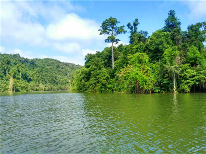 瑞丽莫里热带雨林需要玩多少时间_云南旅游小编推荐景区景观