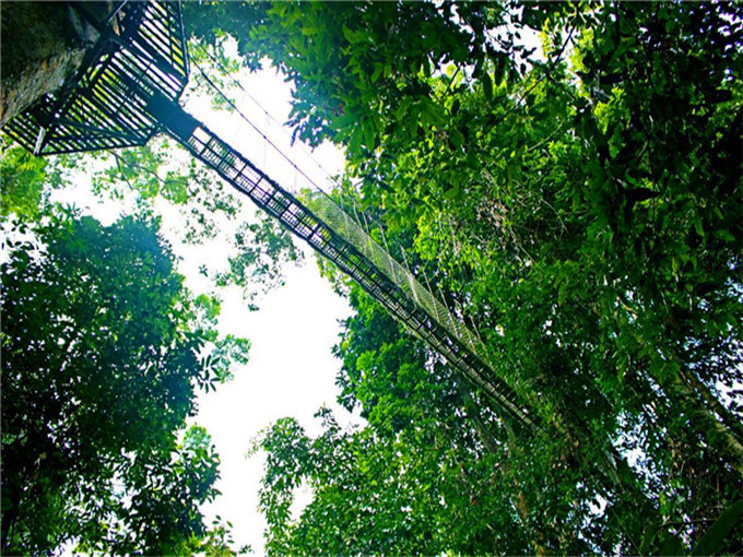 瑞丽莫里热带雨林景区有哪些景点-云南旅游小编告诉你景点美食