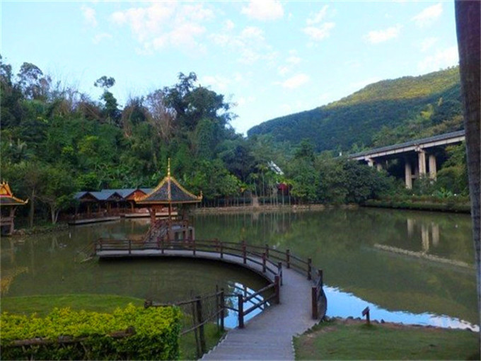 瑞丽莫里热带雨林景区有哪些景点_云南旅游小编推荐游客评价