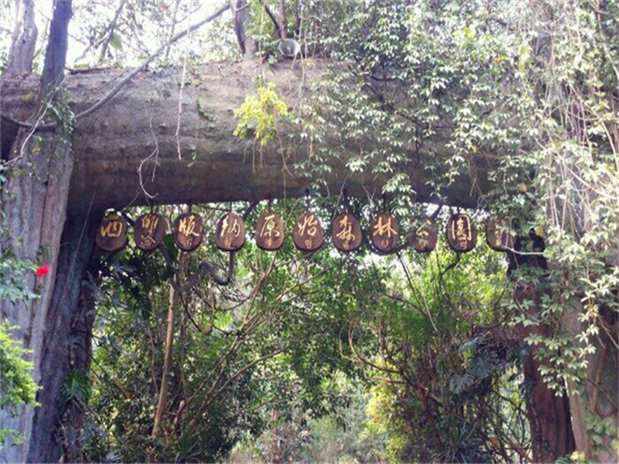 瑞丽莫里热带雨林森林公园在哪-云南旅游小编推荐驾车路线